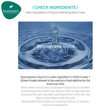 Load image into Gallery viewer, Stayve Hydrating Rose Toner