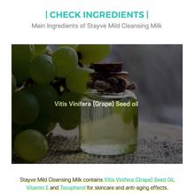 Load image into Gallery viewer, Stayve Mild Cleansing Milk