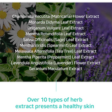 Load image into Gallery viewer, Stayve Hydrating Rose Toner