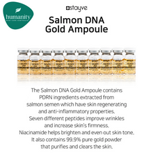 Load image into Gallery viewer, Stayve Booster Salmon Gold Ampoule (10pcs x 8ml)